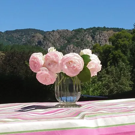 Chateau Paysan De Durianne