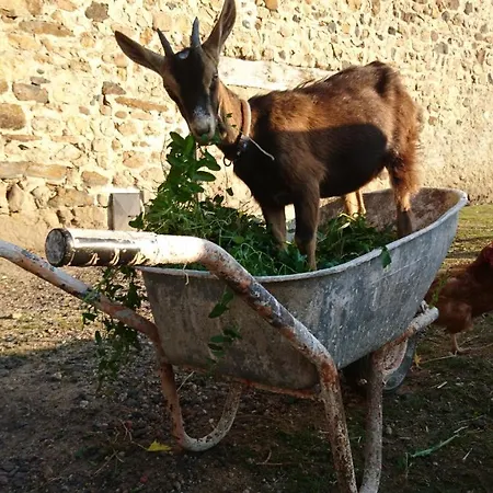 Chateau Paysan De Durianne 3* Le Monteil (Haute-Loire)