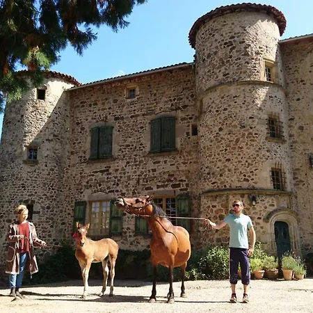 Chateau Paysan De Durianne Le Monteil (Haute-Loire)