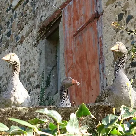 Bed & Breakfast Chateau De Durianne